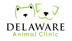 Veterinarians Beaumont | Delaware Animal Clinic